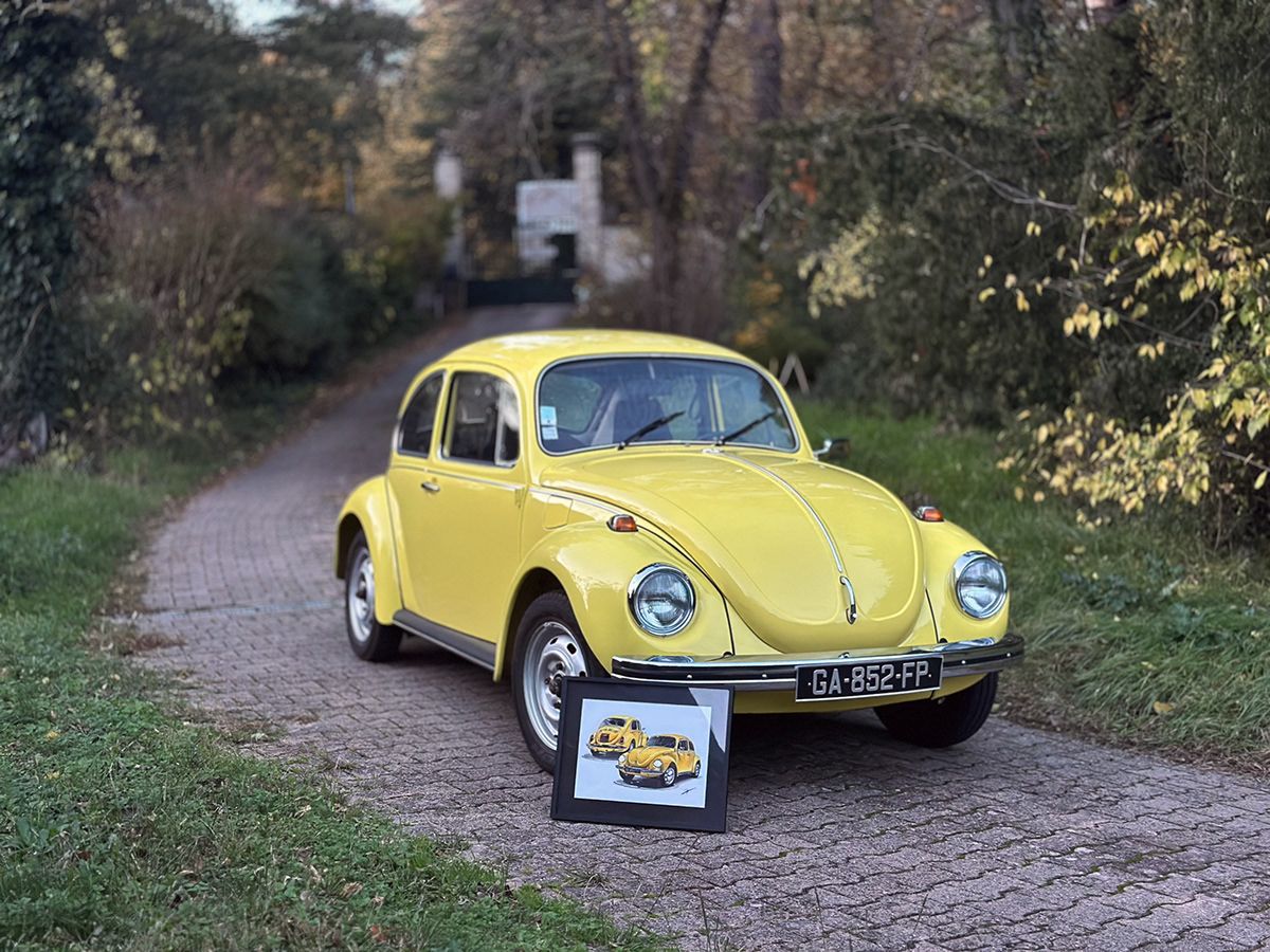 Coccinelle VW 1302 - Vue 2